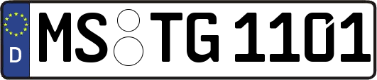 MS-TG1101
