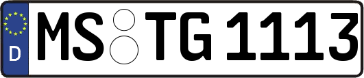 MS-TG1113