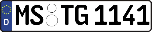 MS-TG1141