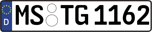 MS-TG1162