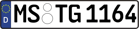 MS-TG1164