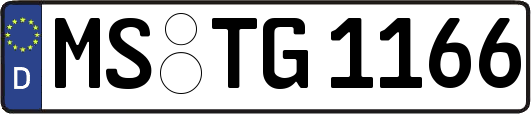 MS-TG1166