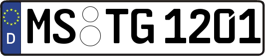 MS-TG1201