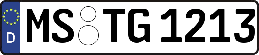 MS-TG1213