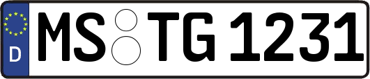 MS-TG1231
