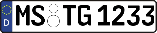 MS-TG1233