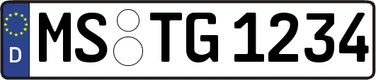 MS-TG1234