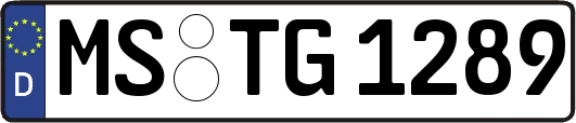 MS-TG1289