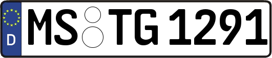 MS-TG1291