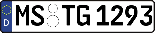 MS-TG1293