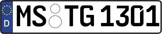 MS-TG1301