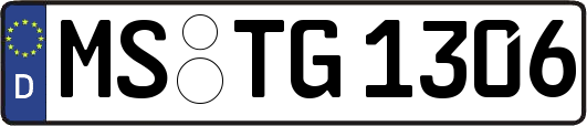 MS-TG1306