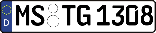 MS-TG1308