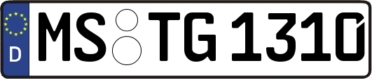 MS-TG1310