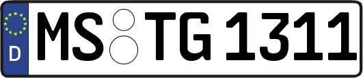 MS-TG1311
