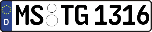 MS-TG1316