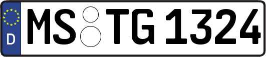 MS-TG1324