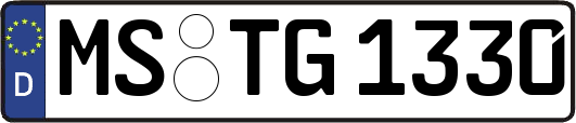 MS-TG1330
