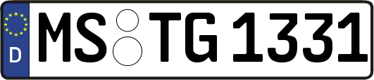 MS-TG1331