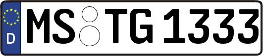 MS-TG1333