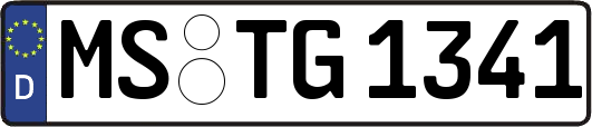 MS-TG1341