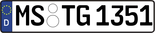 MS-TG1351