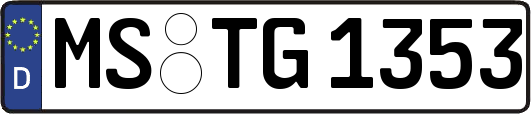 MS-TG1353
