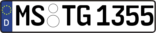 MS-TG1355