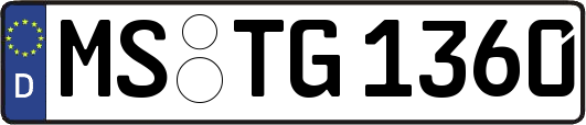 MS-TG1360