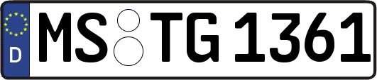 MS-TG1361