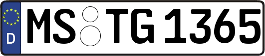 MS-TG1365