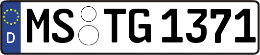 MS-TG1371