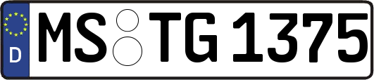 MS-TG1375