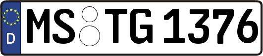 MS-TG1376