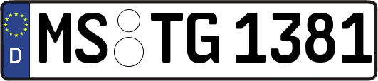 MS-TG1381