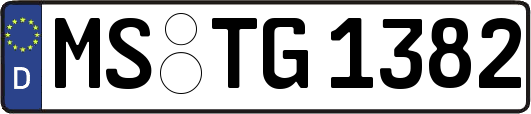 MS-TG1382