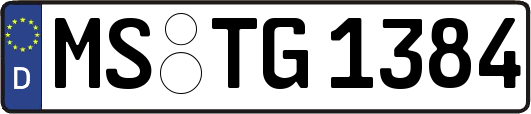 MS-TG1384