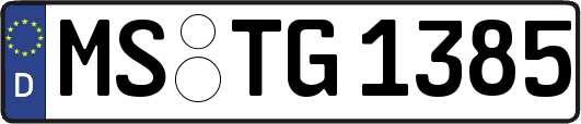 MS-TG1385