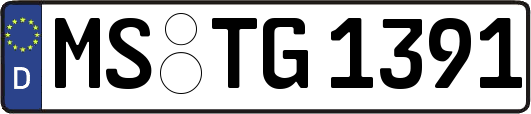 MS-TG1391