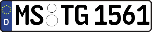MS-TG1561