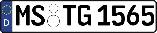 MS-TG1565