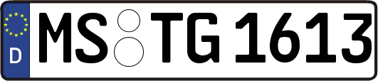 MS-TG1613