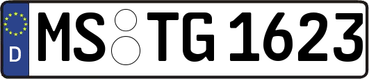 MS-TG1623