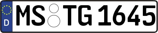 MS-TG1645