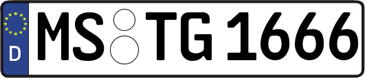 MS-TG1666