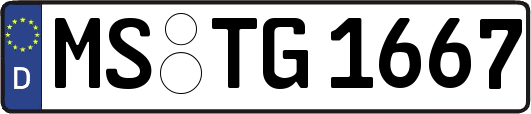 MS-TG1667