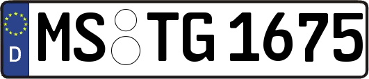 MS-TG1675
