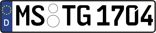 MS-TG1704