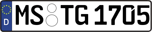 MS-TG1705
