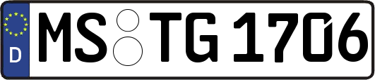 MS-TG1706